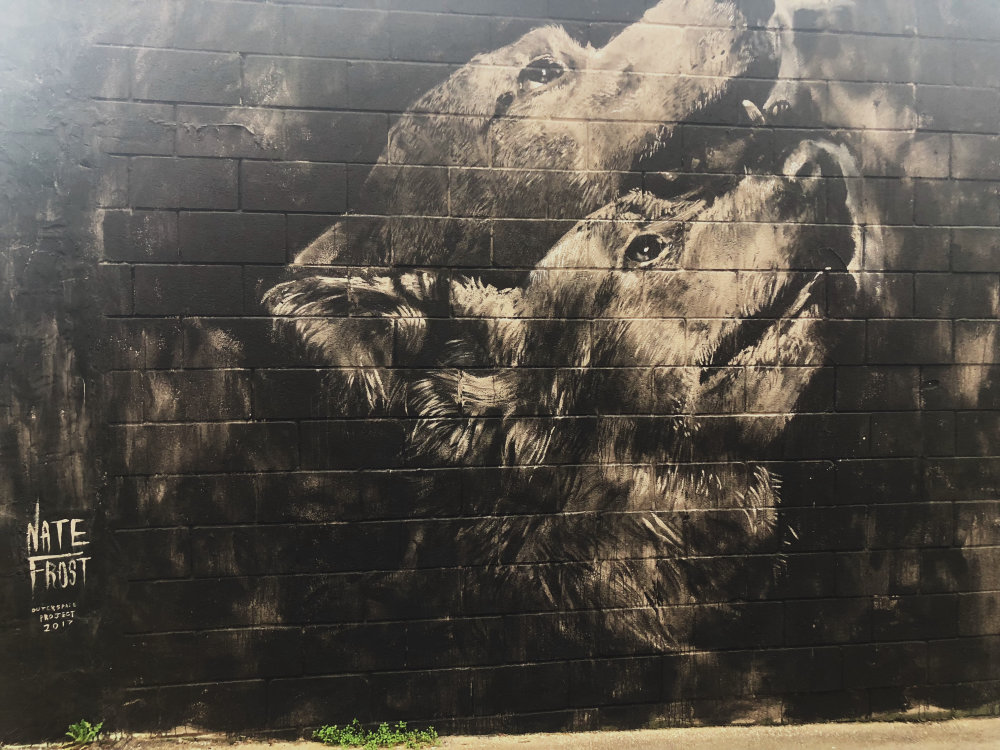 mural in Atlanta by artist Nate Frost. Tagged: animals