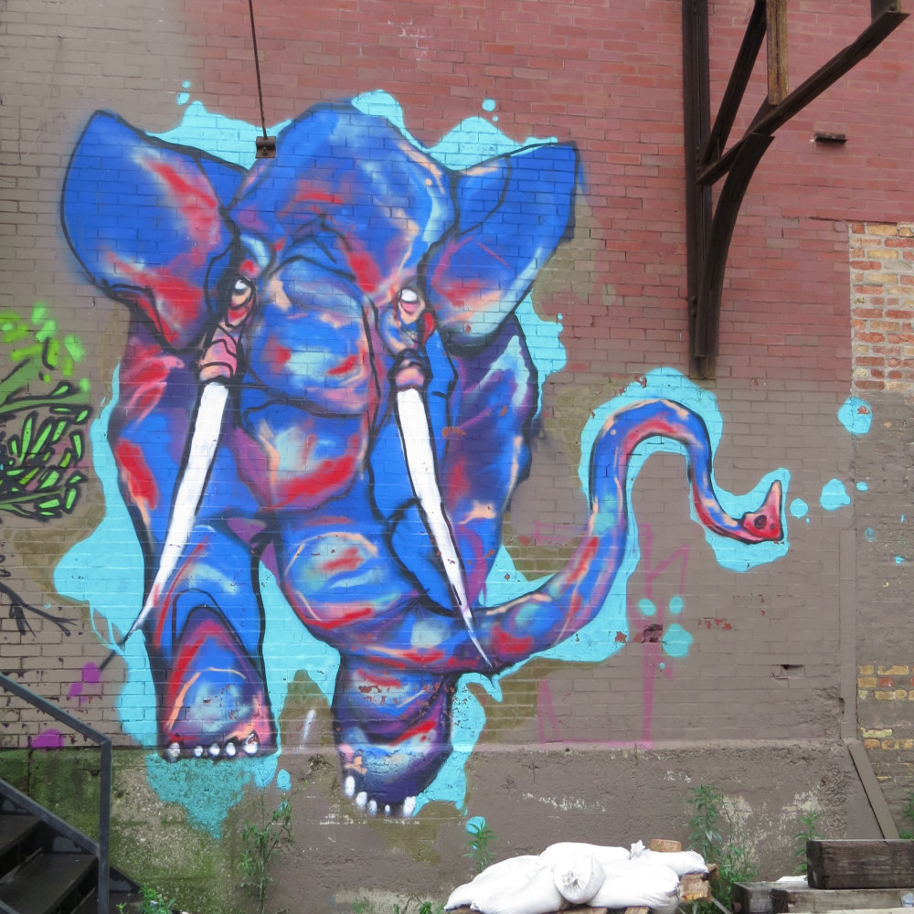 mural in Chicago by artist Bunny XLV. Tagged: animals