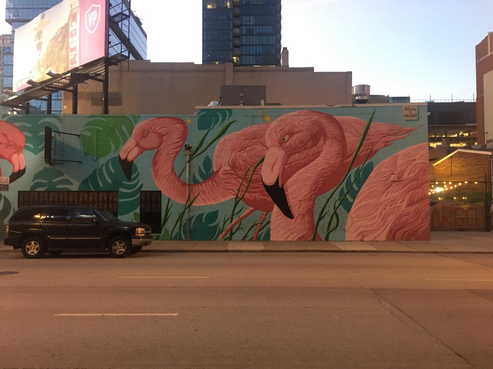 mural in Chicago by artist The Bear Champ. Tagged: animals