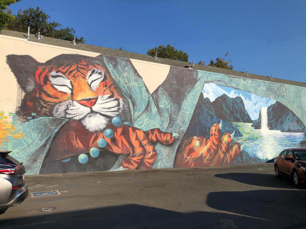 mural in Sacramento by artist Noségo.