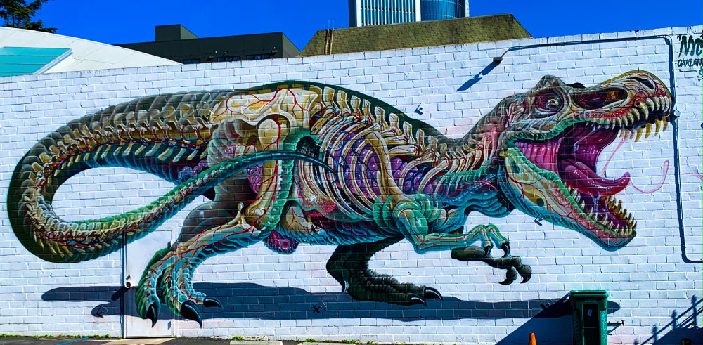 mural in Oakland by artist Nychos.