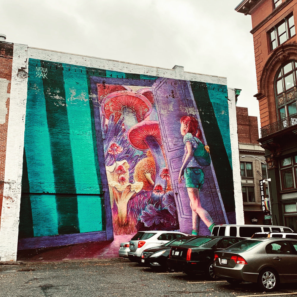 mural in Providence by artist Natalia Rak.