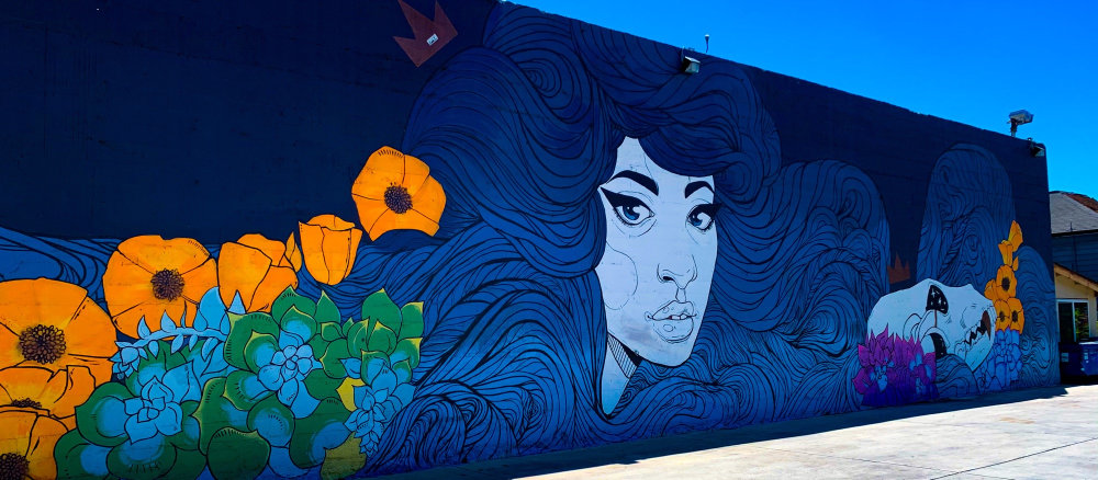 mural in San Jose by artist Stef Azevedo.