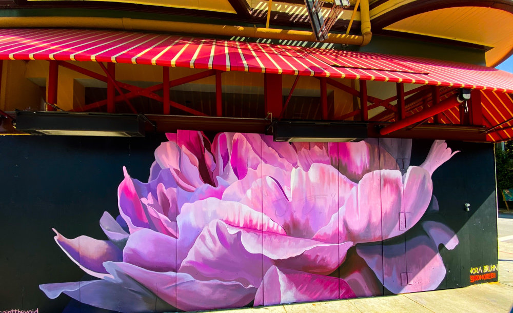 mural in San Francisco by artist Nora Bruhn.