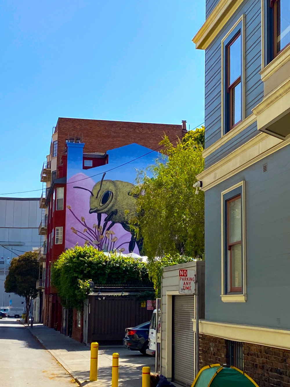 mural in San Francisco by artist Shawn Bullen.