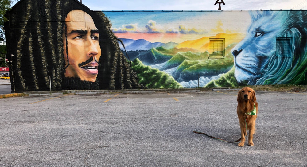 mural in Columbia by artist unknown.