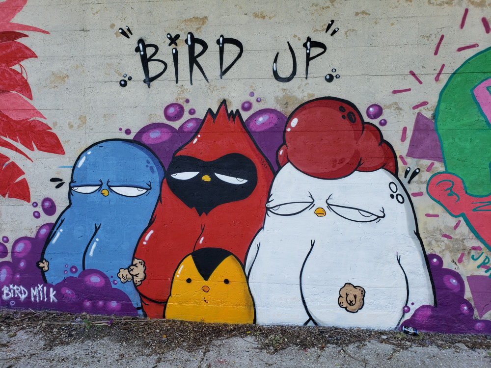 mural in Chicago by artist Bird Milk.