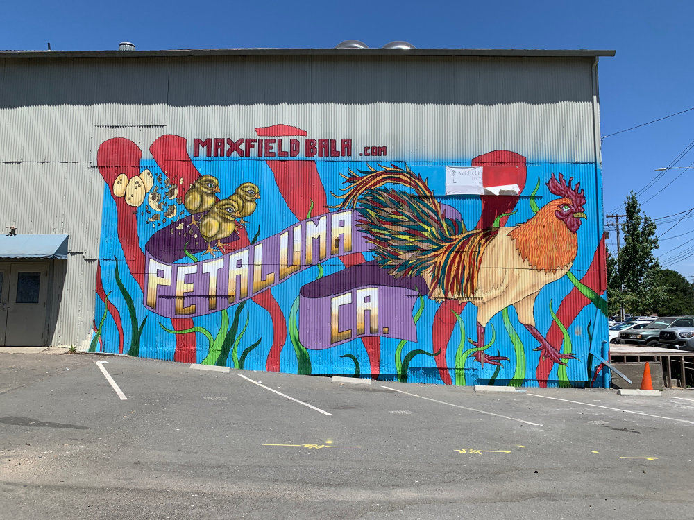 mural in Petaluma by artist unknown.