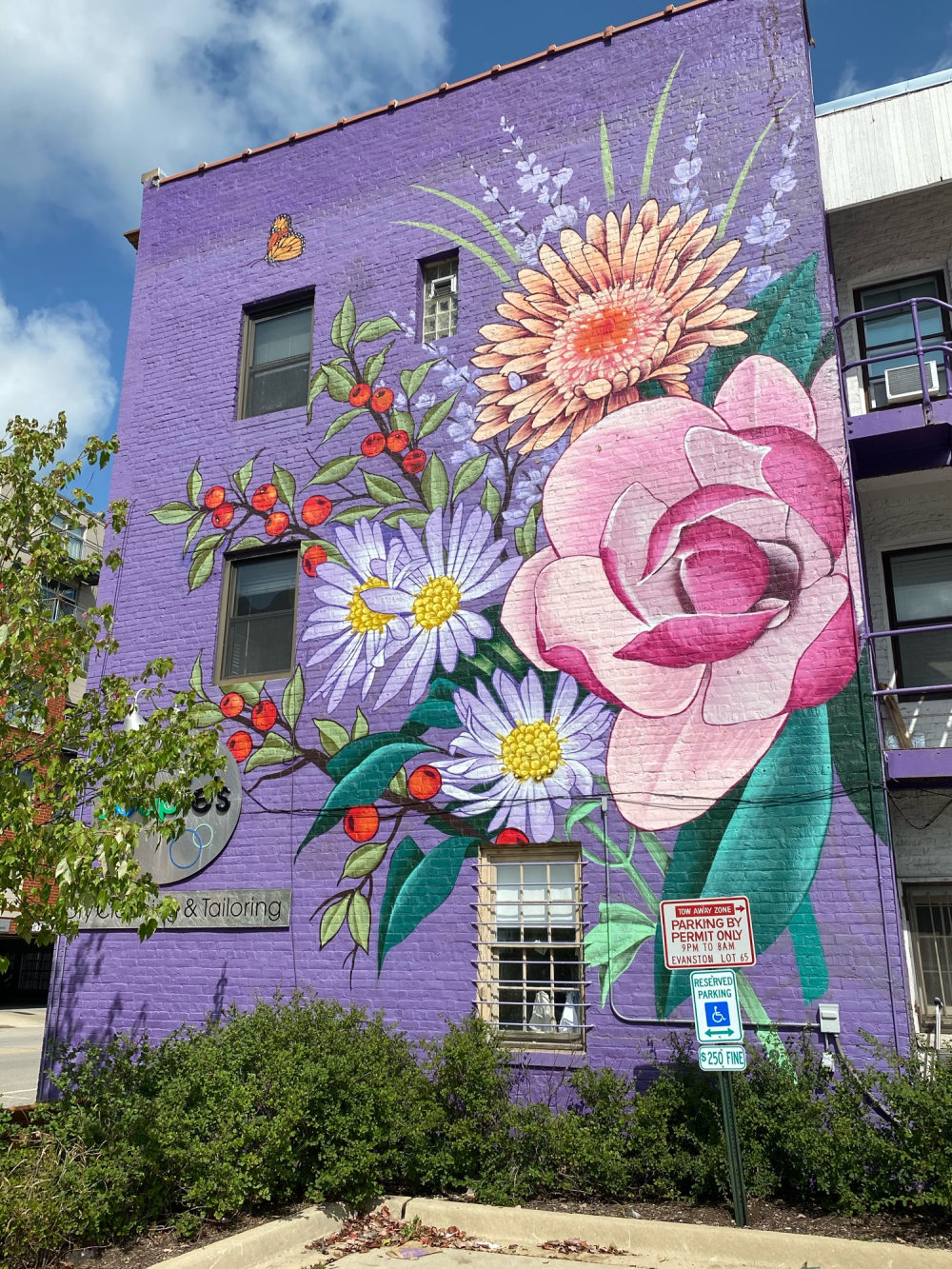 mural in Evanston by artist Ouizi.