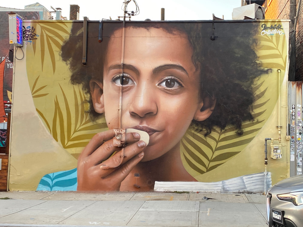 mural in Brooklyn by artist Rosk & Loste.