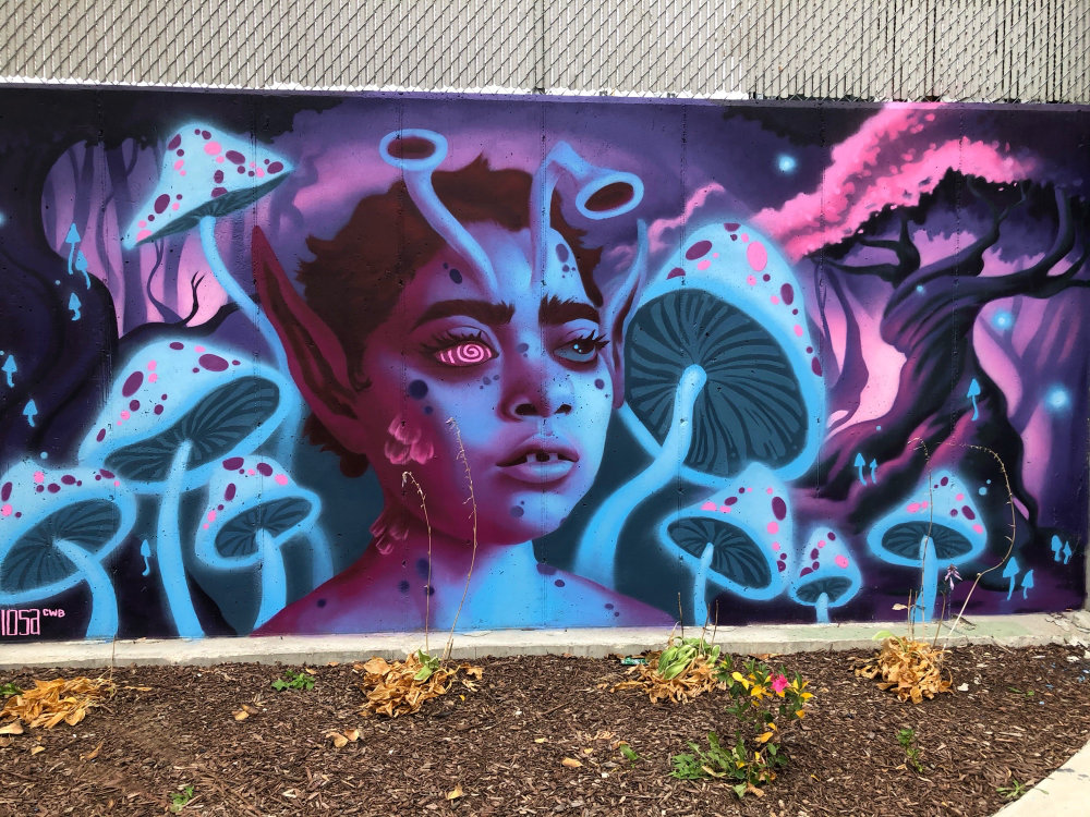 mural in Chicago by artist DIOSA.