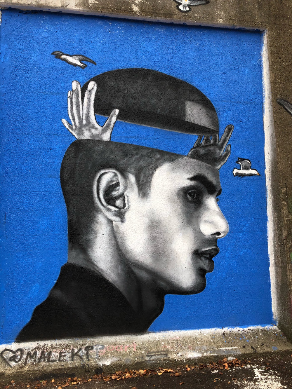 mural in Chicago by artist Maleki.