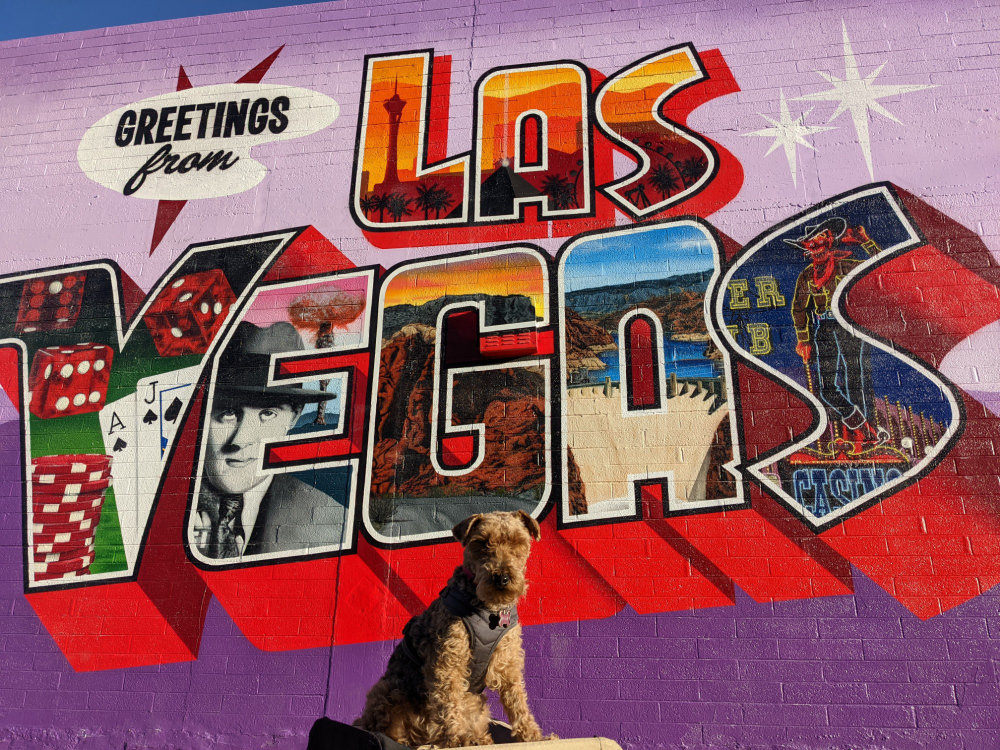 mural in Las Vegas by artist Greetings From.