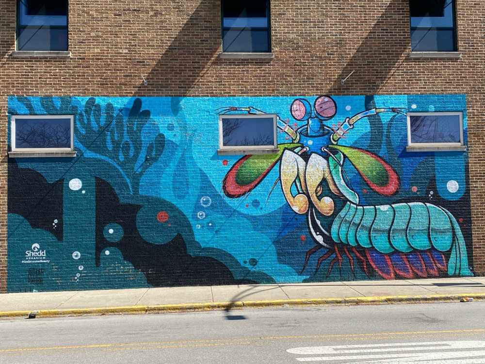 mural in Forest Park by artist unknown.