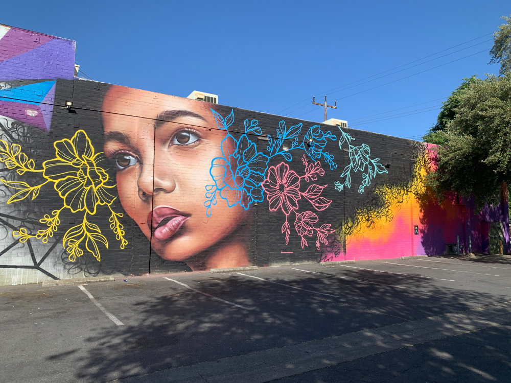 mural in Sacramento by artist Shane Grammer.
