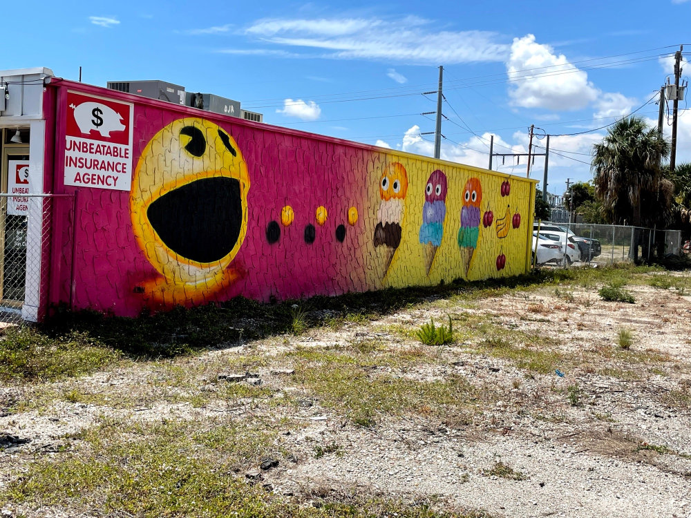 mural in Cape Coral by artist unknown.