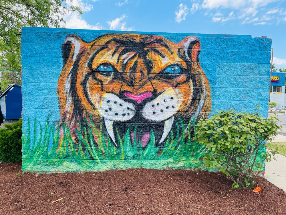 mural in Bolingbrook by artist unknown.