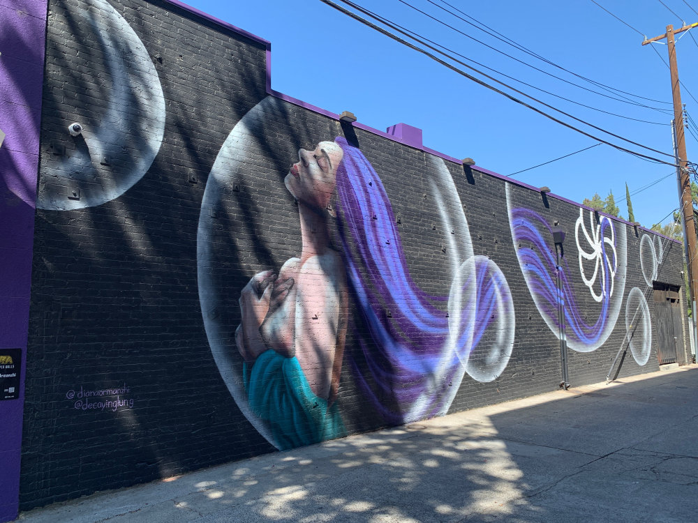 mural in Sacramento by artist Diana Ormanzhi.