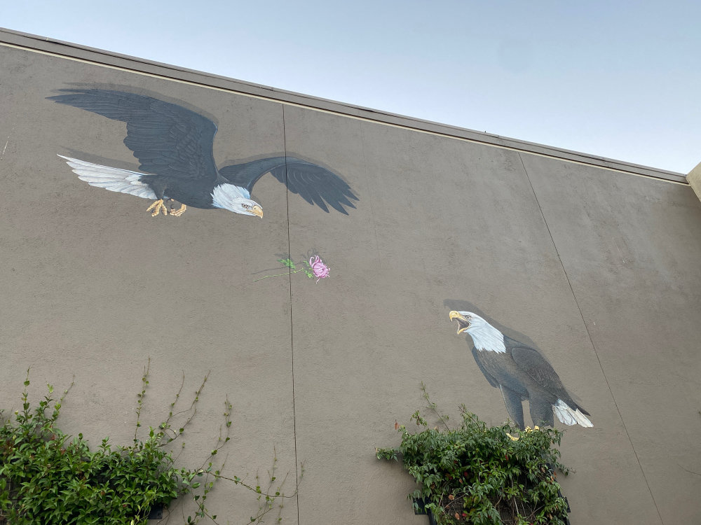 mural in Redwood City by artist unknown.