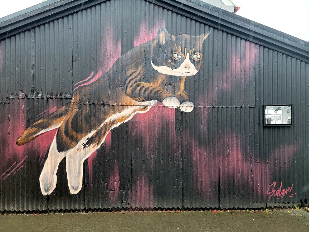 mural in Reykjavík by artist unknown.