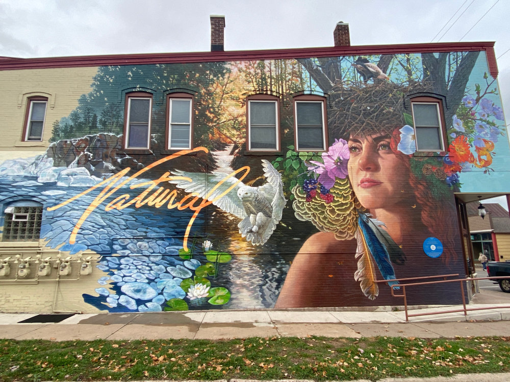mural in Marquette by artist Mia Tavonatti.