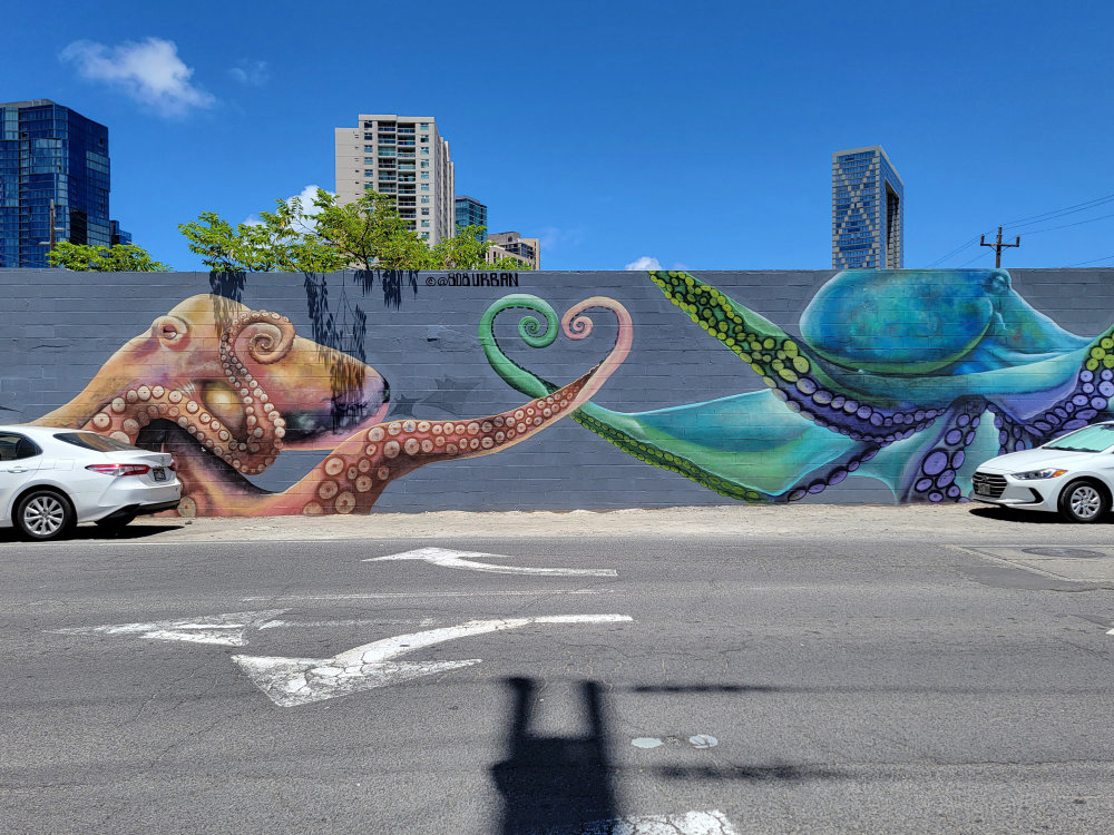 mural in Honolulu by artist 808 Urban.