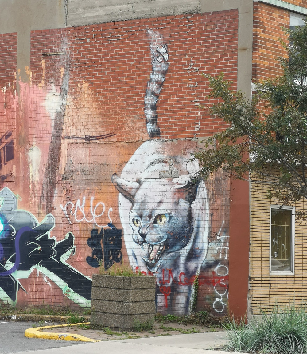 mural in Montréal by artist unknown.