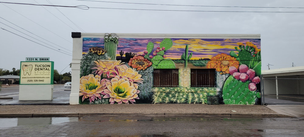 mural in Tucson by artist unknown.