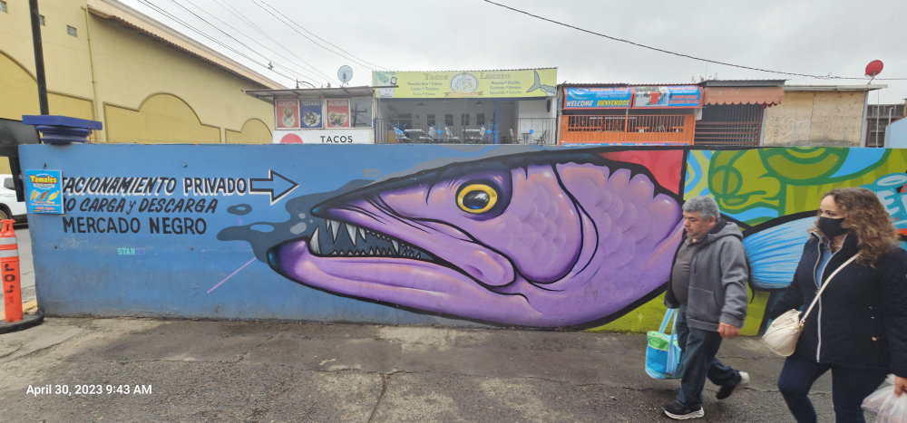 mural in Ensenada by artist unknown.
