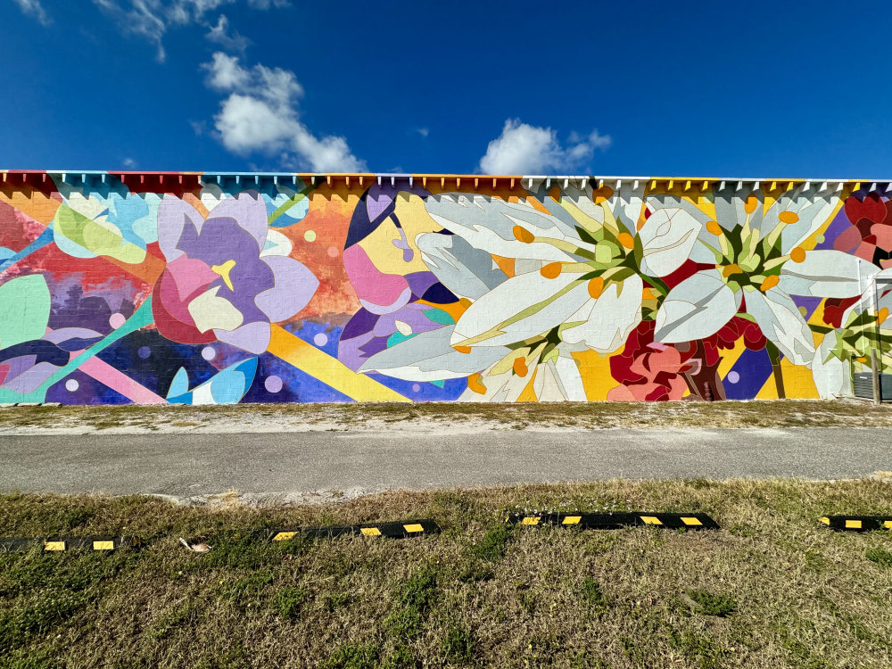 mural in Clearwater by artist DAAS.