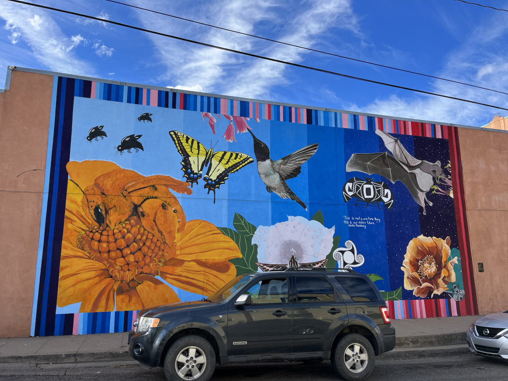 mural in Silver City by artist unknown.