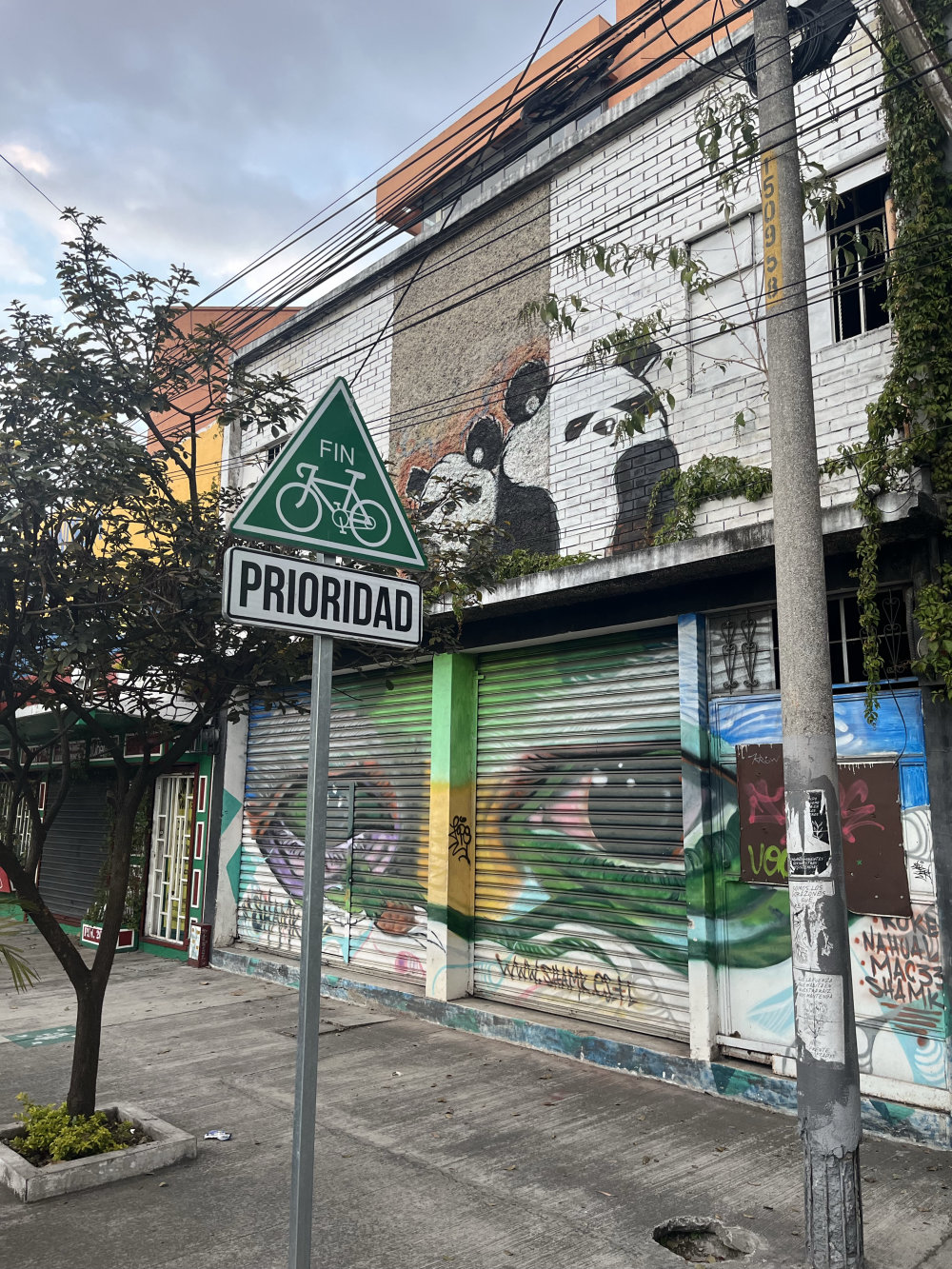 mural in Guatemala City by artist unknown.