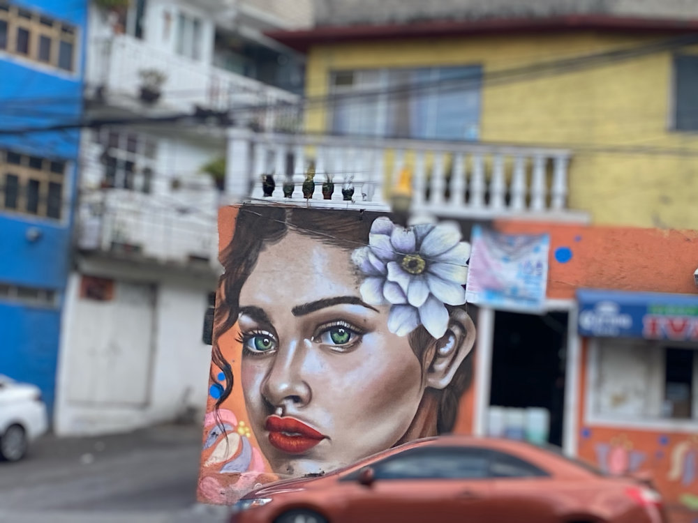 mural in Mexico City by artist unknown.