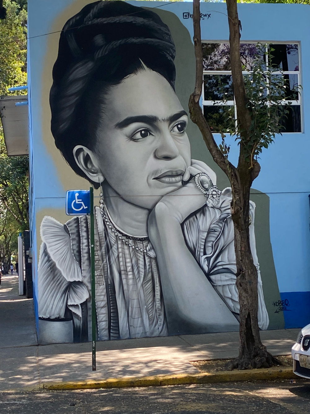 mural in Ciudad de México by artist unknown.