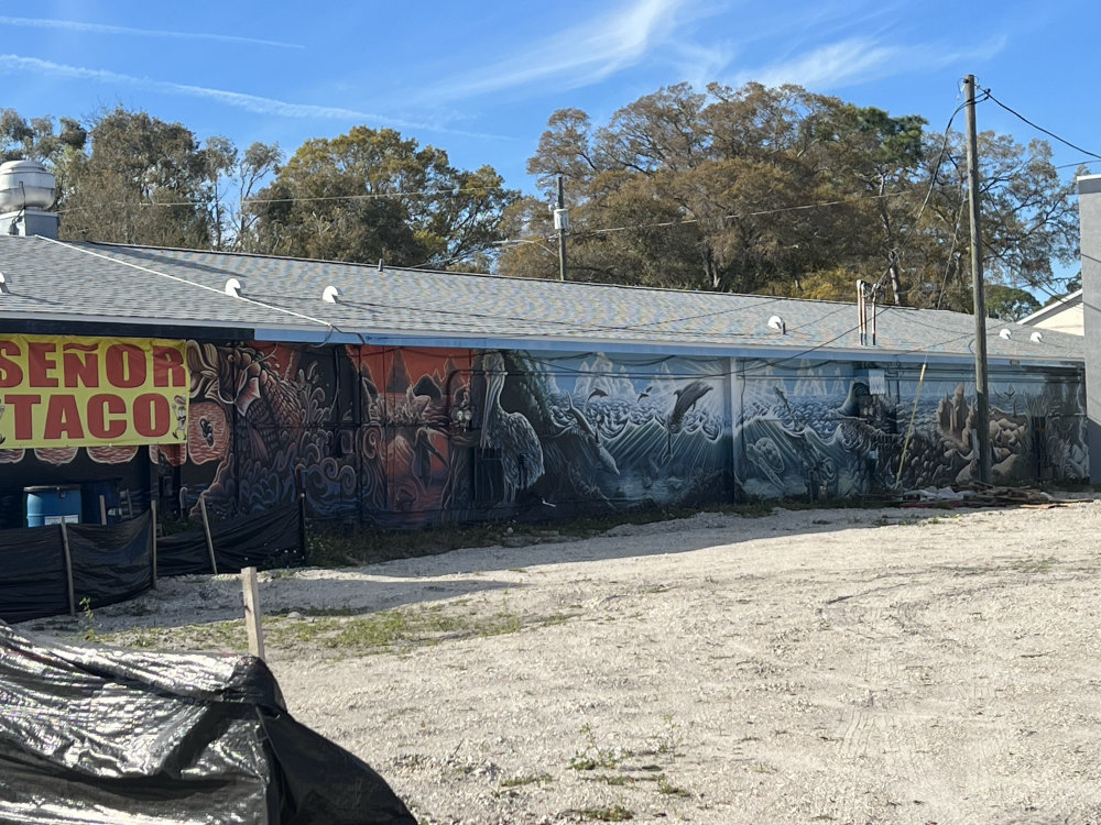 mural in Pinellas Park by artist unknown.