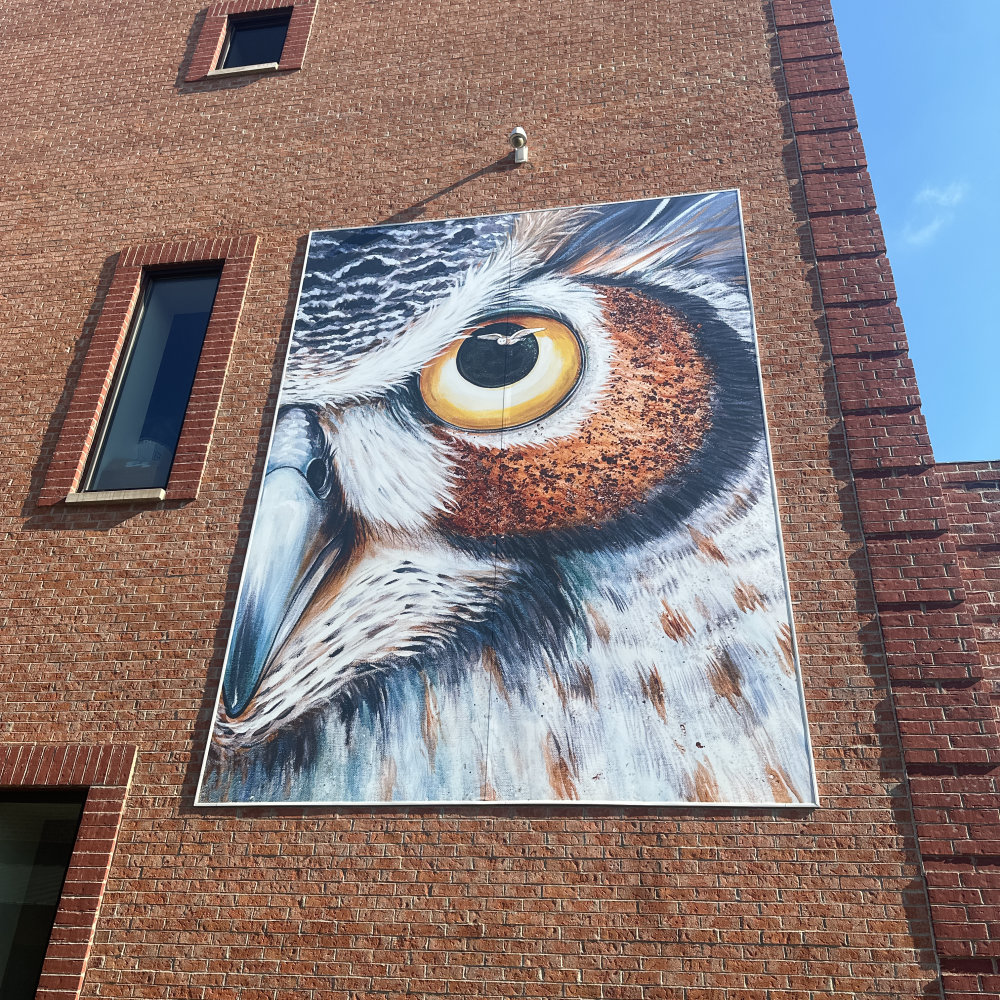 mural in Fond du Lac by artist unknown.