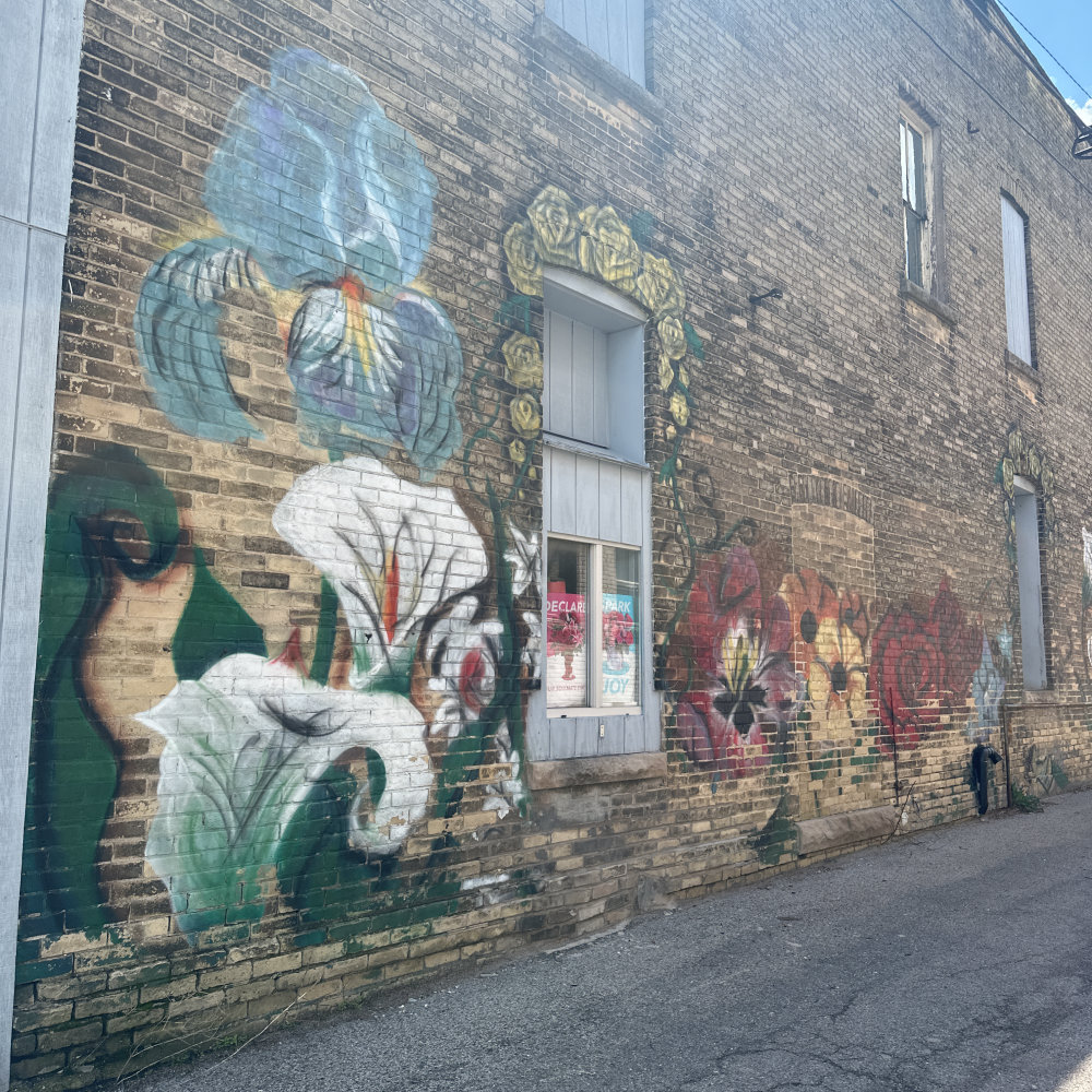 mural in Portage by artist unknown.