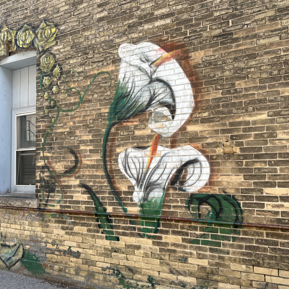 mural in Portage by artist unknown.