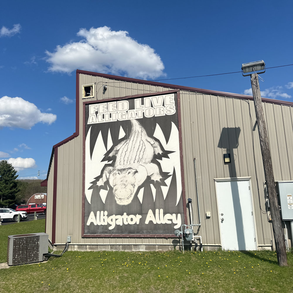 mural in Wisconsin Dells by artist unknown.