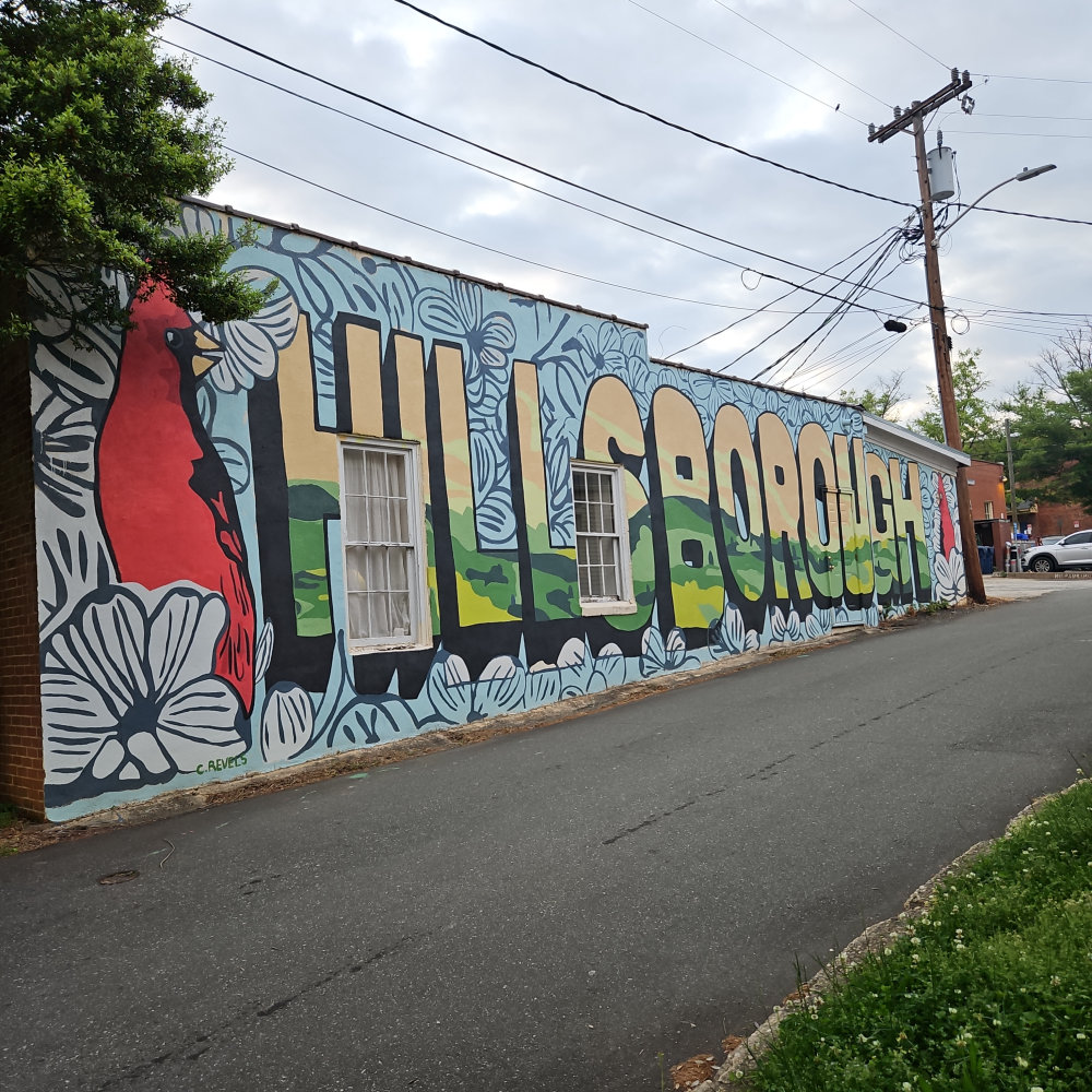 mural in Hillsborough by artist unknown.