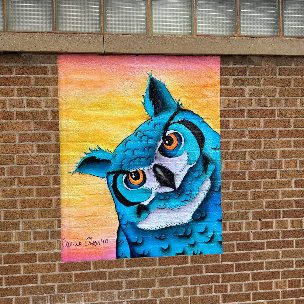 mural in Oshkosh by artist unknown.