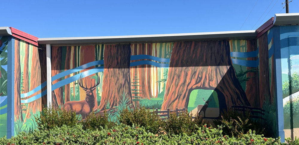 mural in Santa Rosa by artist unknown.