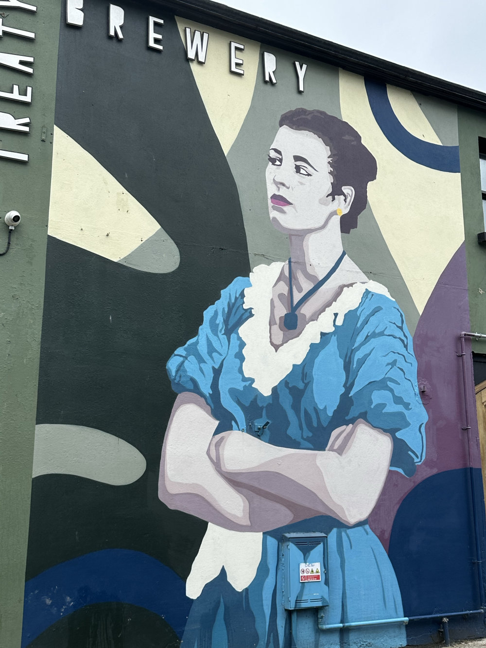 mural in Limerick by artist unknown.