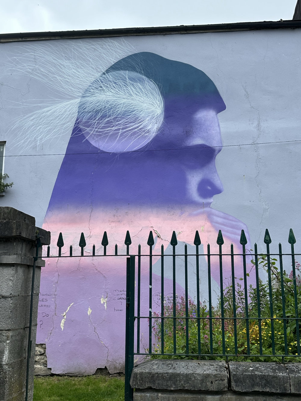 mural in Limerick by artist unknown.