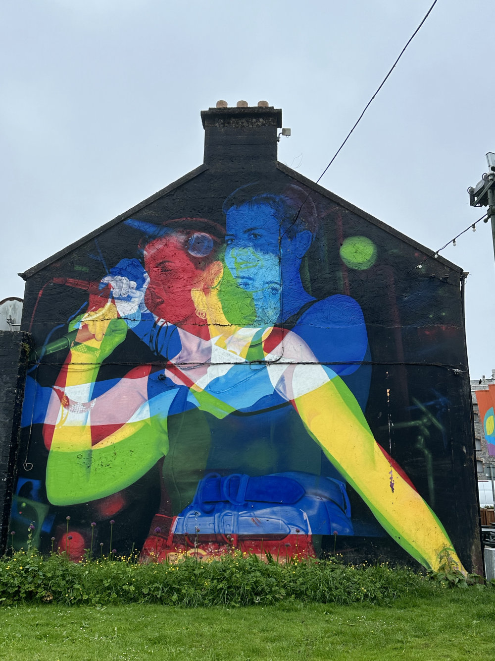 mural in Limerick by artist Aches. Tagged: Dolores O'Riordan, music, The Cranberries