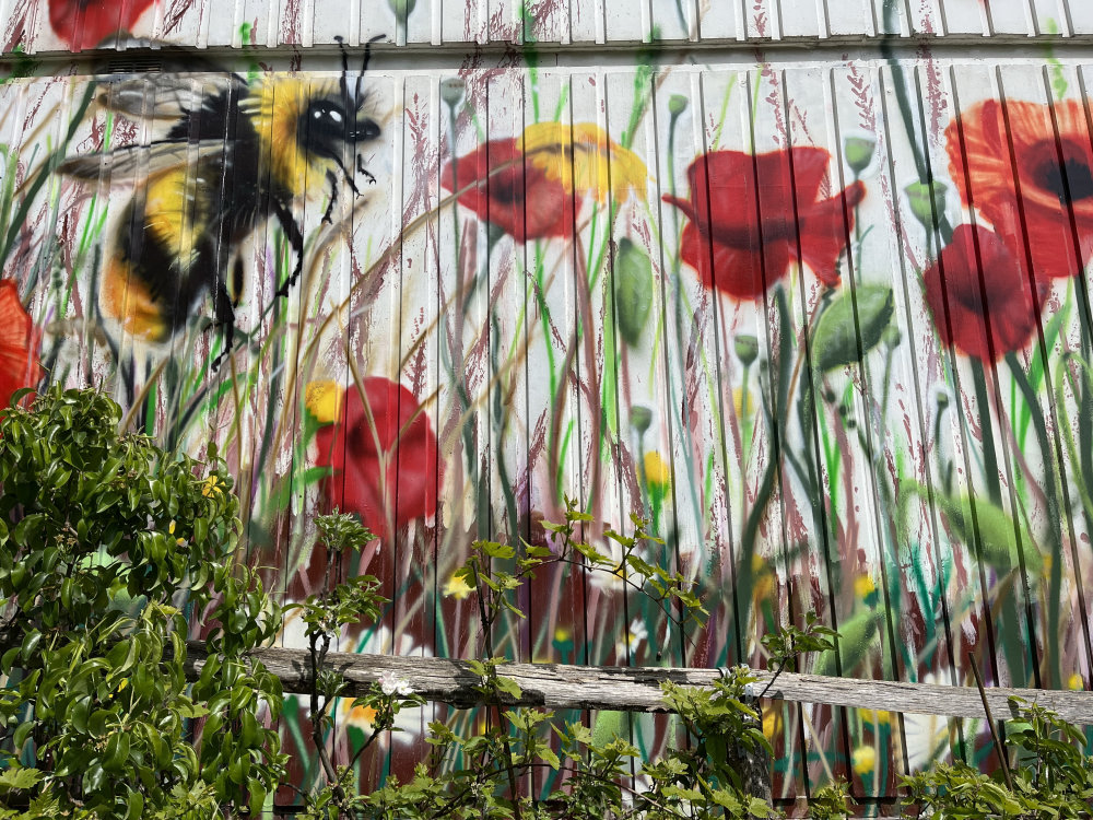 mural in Brighton and Hove by artist unknown.