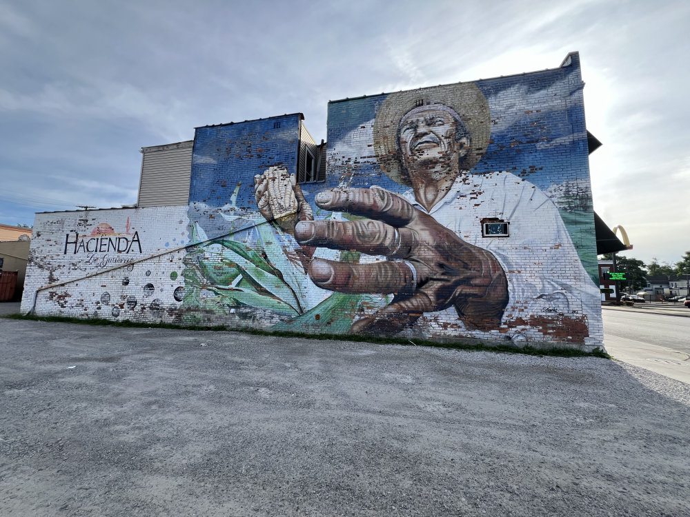 mural in Detroit by artist Dasic Fernandez.