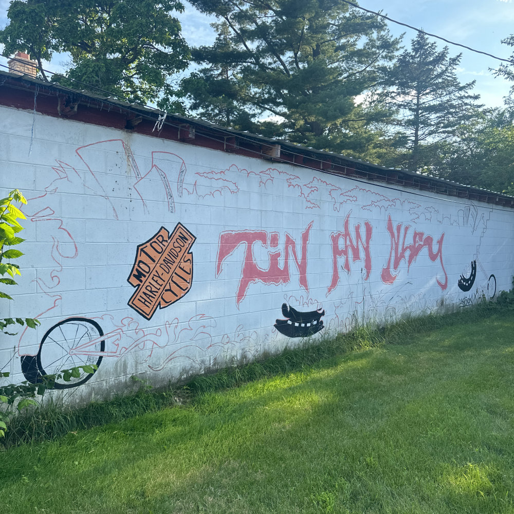 mural in Princeton by artist unknown.