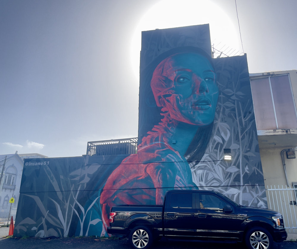 mural in San Juan by artist unknown.