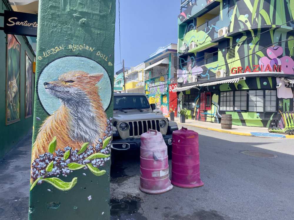 mural in San Juan by artist unknown.